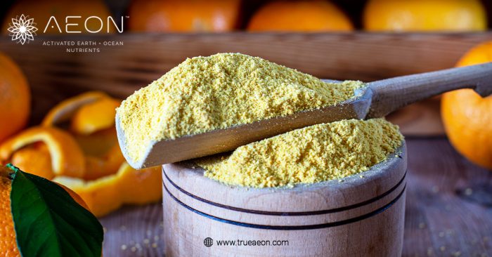 AEON ONE™ vs AG1®: Which Supplement Supports Longevity and Healthy Aging?