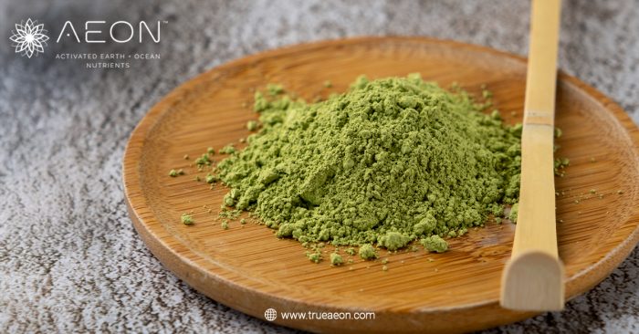 AEON ONE™ vs Bloom Greens: Super Greens or Super Blend -Which Is Better for Daily Energy?