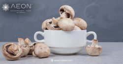 AEON ONE™ vs Four Sigmatic: Which Mushroom Supplement Better Supports Focus and Stress Relief?