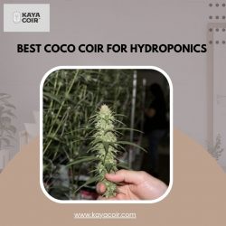 Best coco coir for hydroponics