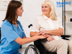 Dementia Care at Home in Enfield – Bluebird Care Enfield
