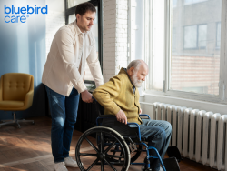 Reliable Elderly Care Providers in Barnet – Bluebird Care Barnet