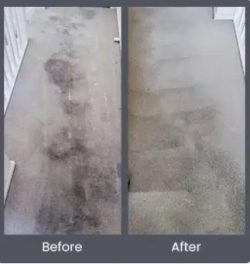 Carpet Dry Cleaning Adelaide