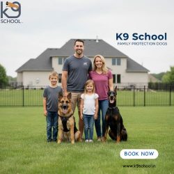 Family Protection Dogs Trained for Loyalty and Defense | K9 School
