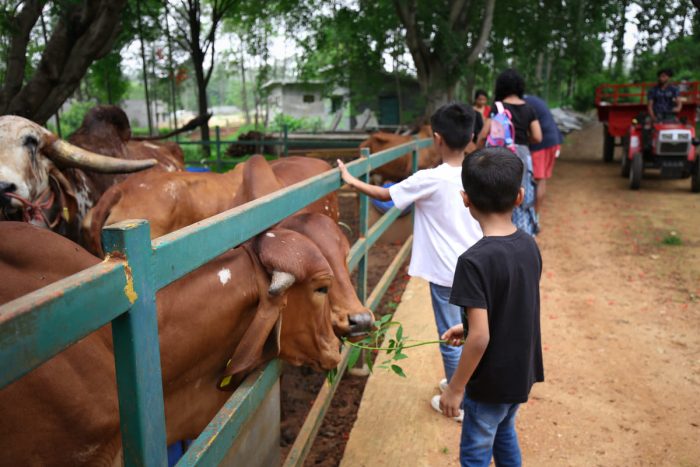 Adventure, Nature & Teamwork: Farmhouse Trips for Students Aged 10–18