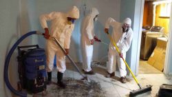 What Are the Health Risks of Not Using a Flood Cleanup Service?