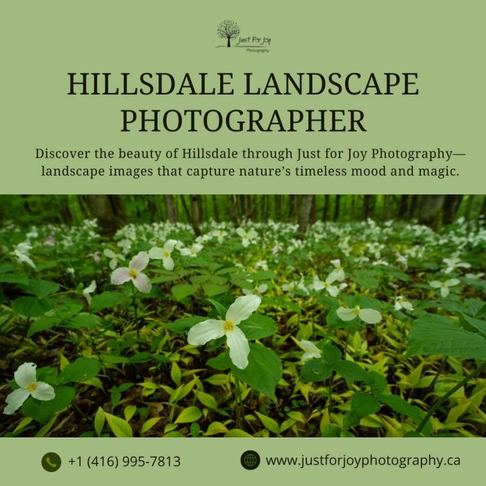 Hillsdale landscape photographer