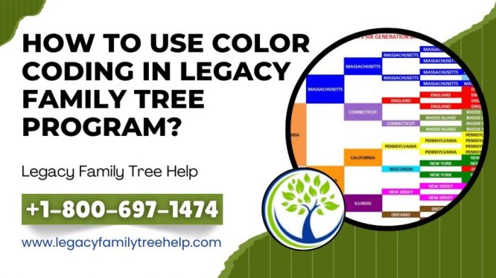 How To Use Color Coding In Legacy Family Tree Program?