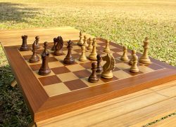 Buy Premium Chessnut Pro Online in UK