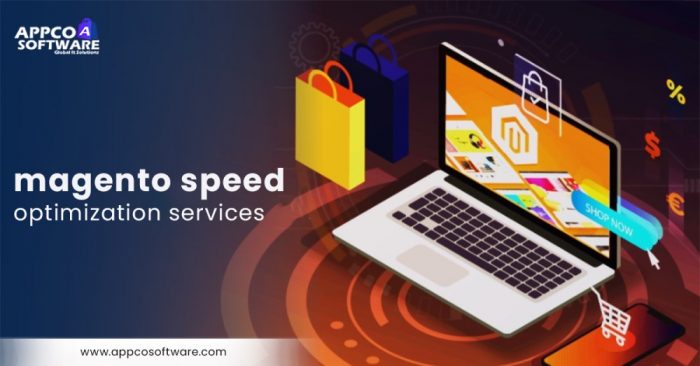 Magento Speed Optimization Services for High Performance