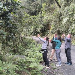 Peru Amazon Rainforest Tours – Explore Nature’s Hidden Paradise