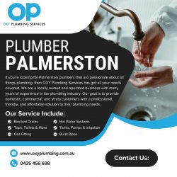 Plumber Palmerston