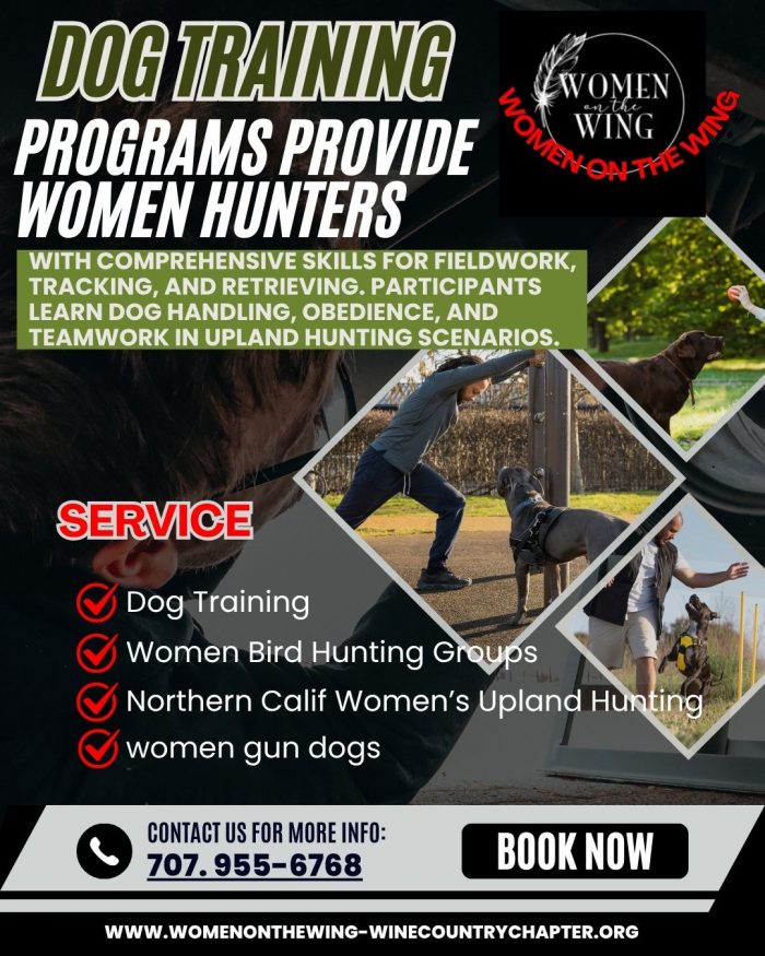 Dog Training