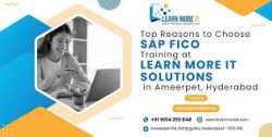 S.A.P fico institute in Ameerpet
