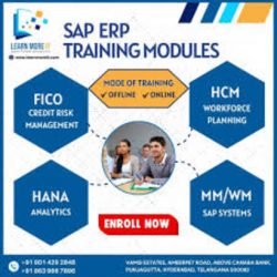 Best S.A.P FICO institute in Hyderabad