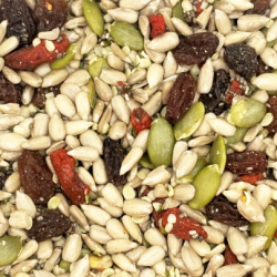 Seeds: Nature’s Tiny Powerhouses for Health and Wellness by Grape Tree