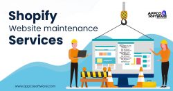 24/7 Shopify Website Maintenance Services in India