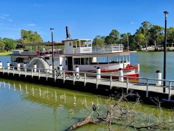 Paddle Steamer Melbourne – Experience the Charm of River Cruises in Mildura
