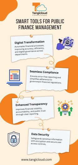 Empowering Public Finance Through Automation