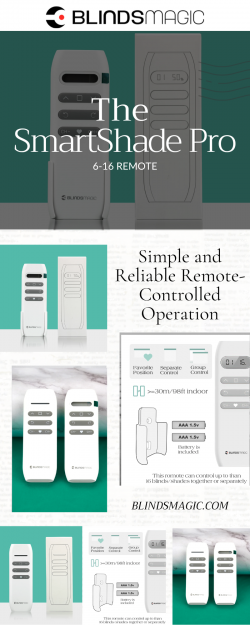 SmartShade Pro 6/16 Remote