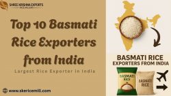 Top 10 Basmati Rice Exporters from India