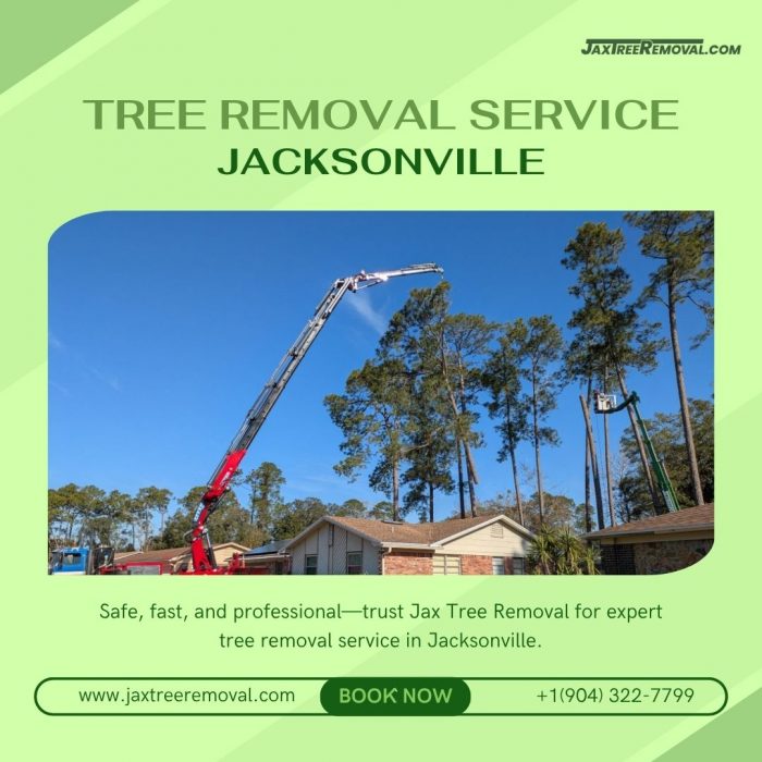 Tree Removal Service Jacksonville