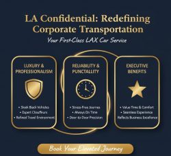 Exclusive SNA Airport Car Service for Professionals