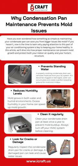 Condensate Pan Maintenance Tips
