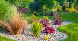 Completi Servizi di Giardinaggio e Paesaggistica Professionale