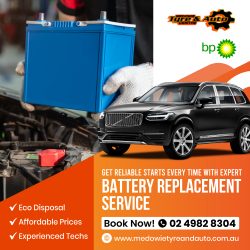 Battery Replacement Service – Medowie Tyre & Auto Centre