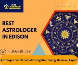 Best Astrologer in Edison – Expert Readings by Astrologer Pandit Sahadev
