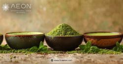 AEON ONE™ vs AG1® for Busy Professionals: Which Fits a High-Performance Lifestyle?