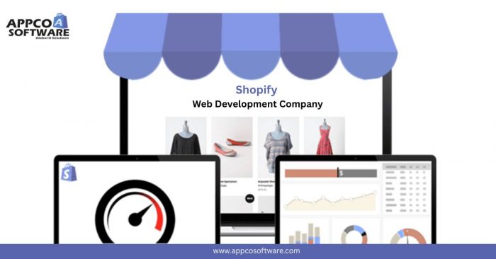 Top Shopify Web Development Company for Your Online Store