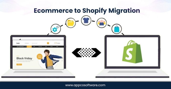 Professional Ecommerce Migration Services for Shopify Conversion
