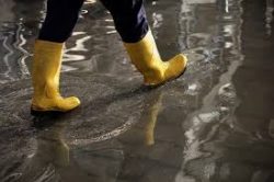 How Does a Professional Basement Flood Cleanup Service Work?