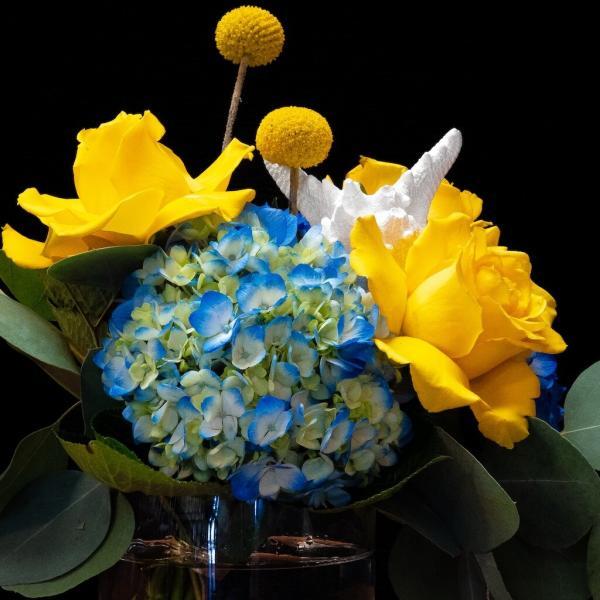 Naples Picasso Flowers – The Best Florist in Naples for Every Occasion