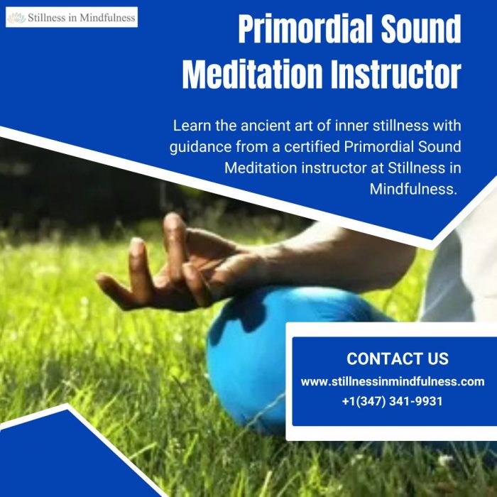 Primordial Sound Meditation Instructor