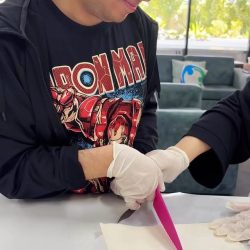 Explore Comprehensive NDIS Services Sydney