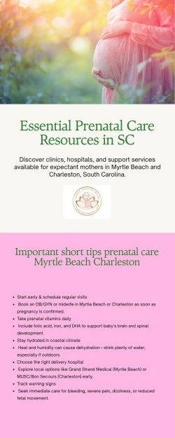 Prenatal Care Myrtle Beach Charleston – Expert Pregnancy & Maternity Support