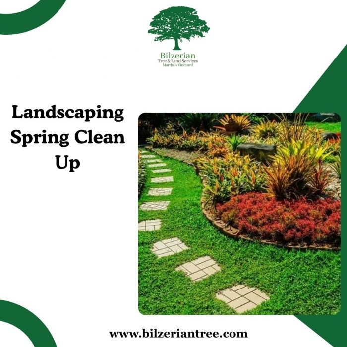 Landscaping Spring Clean Up