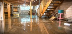 When Should You Contact a Water Damage Restoration Company?