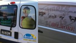 Creative Branding That Stands Out: How Ooga Booga Transforms Melbourne Businesses