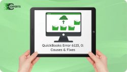 QuickBooks Error 6123, 0: Causes, Fixes, and Prevention Guide