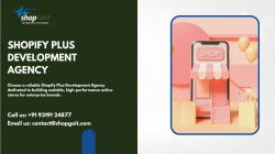 Trusted Shopify Plus Development Agency for Enterprise eCommerce