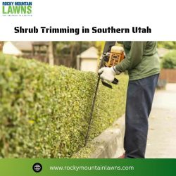 Shrub Trimming in Southern Utah