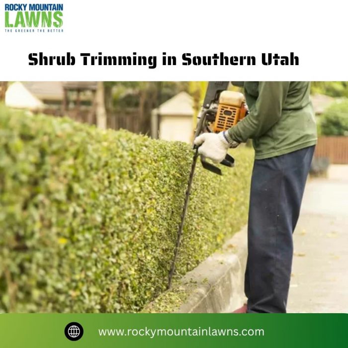 Shrub Trimming in Southern Utah
