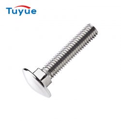 Stainless Steel Bolt