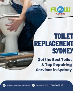 Toilet Replacement Sydney Fast Repairs & Emergency Service