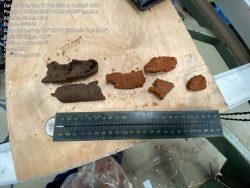 Understanding Commercial Land Capability Assessments and Their Cost