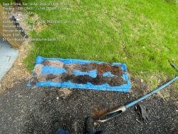 Understanding Land Capability Assessments for Septic Systems in Victoria